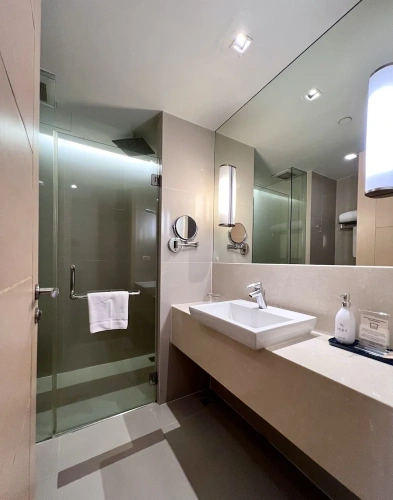 Deluxe Twin room with city view