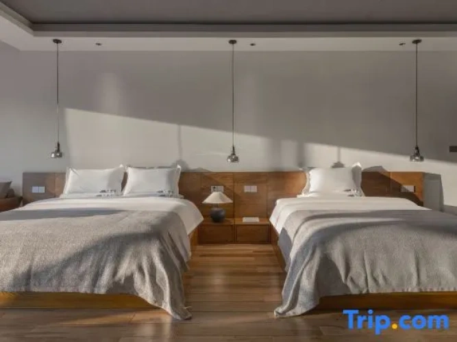 Standard Twin room with courtyard view