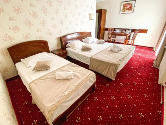 Deluxe Family room
