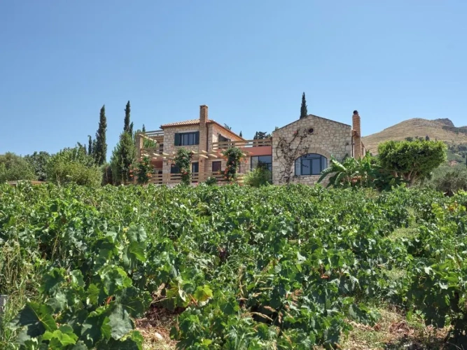 Deluxe Villa