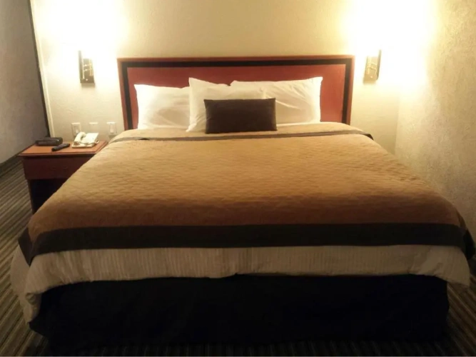 Standard room with view
