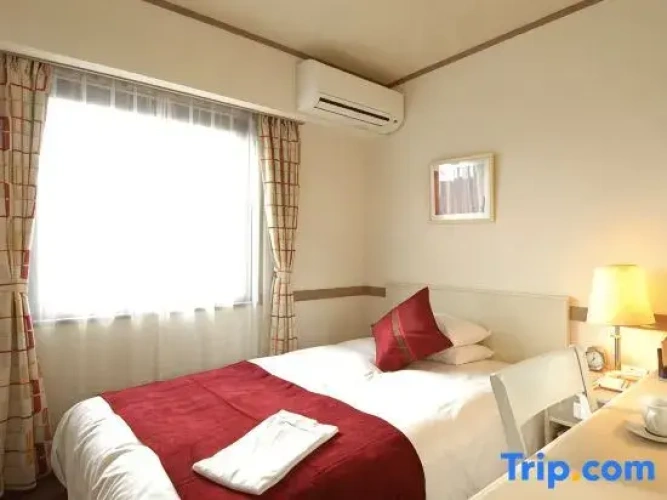 Standard Single room with mountain view