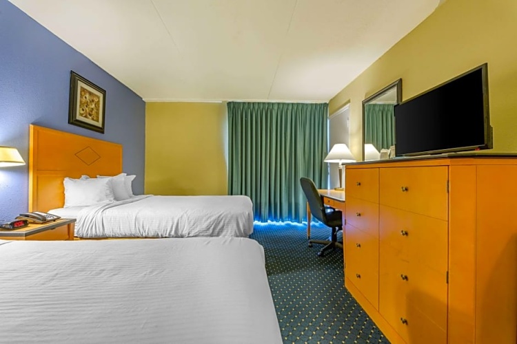 1 Bedroom Quadruple Suite