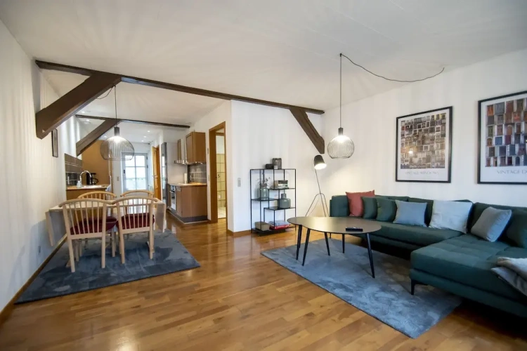 Luxury Apartment