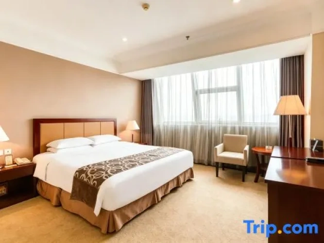 Standard Double room with city view