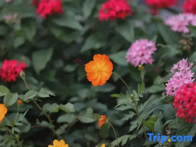 Wenling Guiyan Scenic Apartment