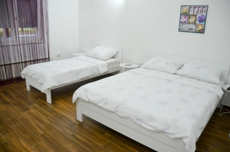 Apartment Mikela