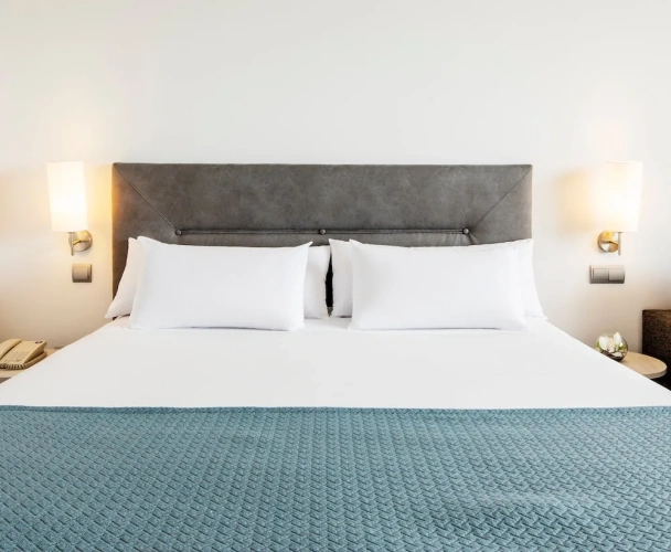 Premium Double room with garden view