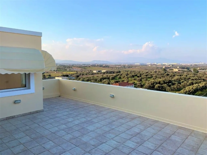 1 Bedroom Suite
