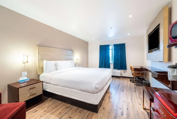 Pet Friendly Double room