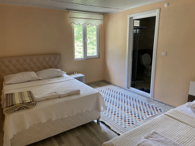 1 Bedroom Standard room