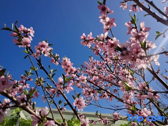 Outside