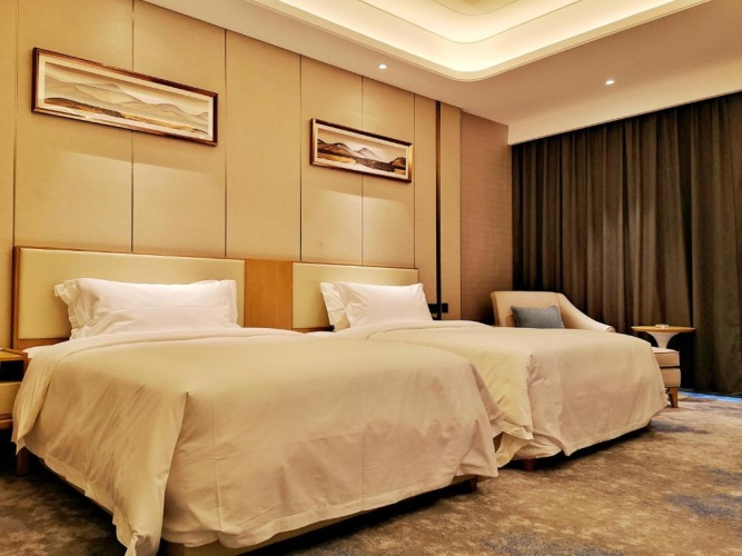 Deluxe Twin room with city view