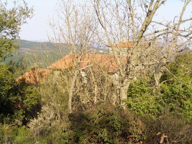 Ariadne Eco Retreat