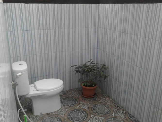 Aladdin Homestay