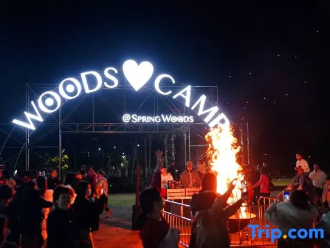 Springwoods Club Palm Tree Hotel