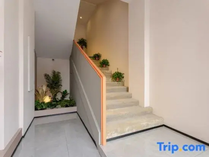 Lily Smart Smart Homestay (USTC)