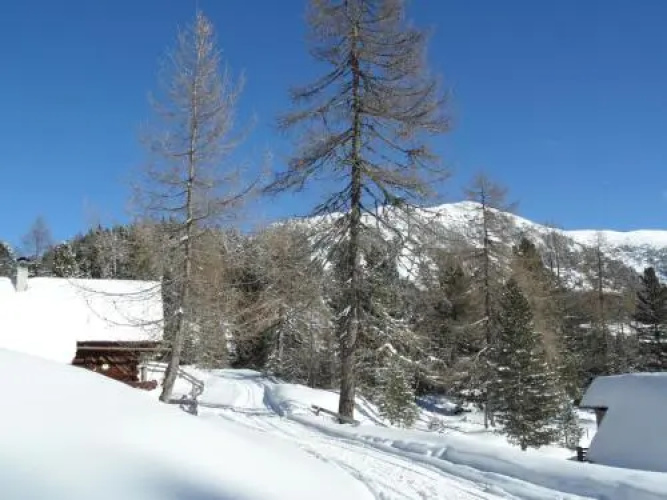 Almhütte Schmidt