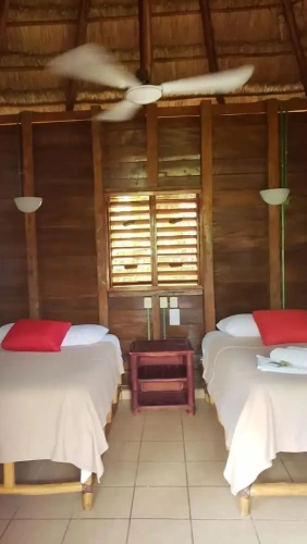 Standard Quadruple room with garden view