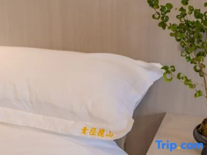 Standard Double room with mountain view