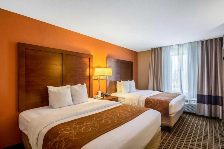 Quadruple Suite