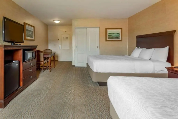 Deluxe Quadruple room