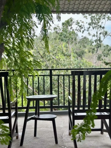 Business Double Cottage