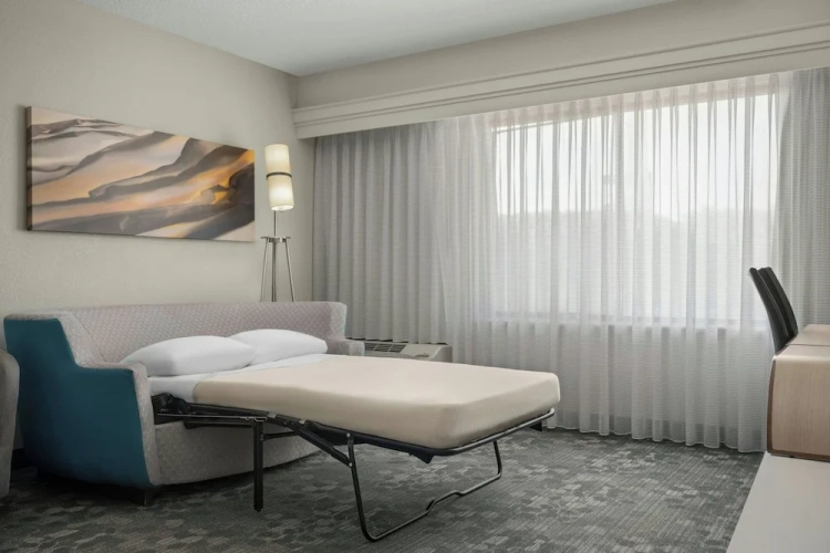 1 Bedroom Suite