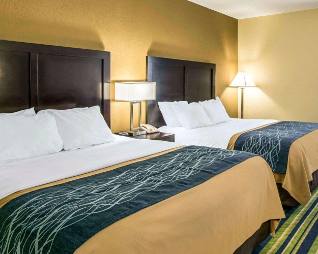 Comfort Inn & Suites Lantana West Palm Beach South photo 6