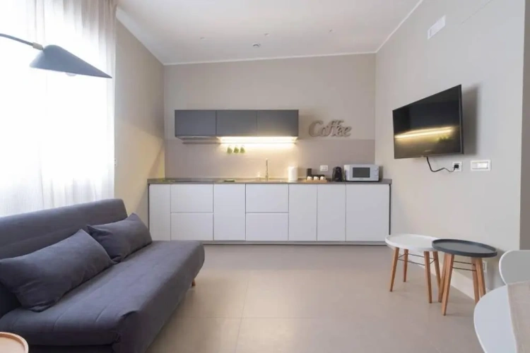 1 Bedroom Apartment