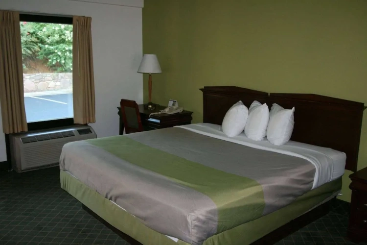 1 Bedroom Suite