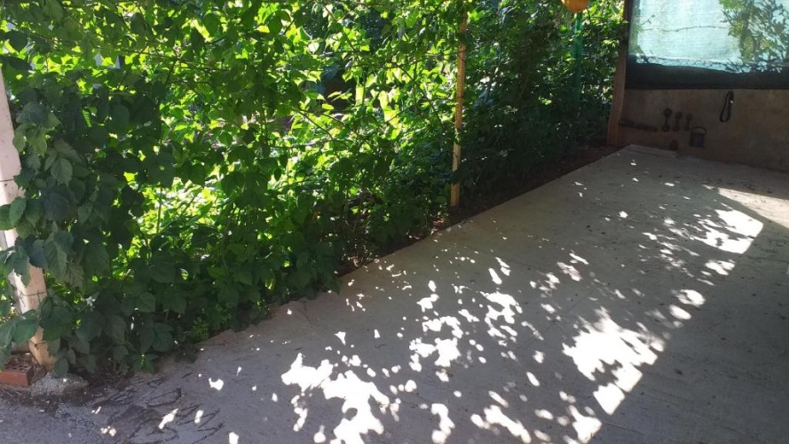 Outside