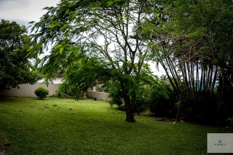 Outside