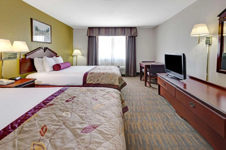 Quadruple Suite