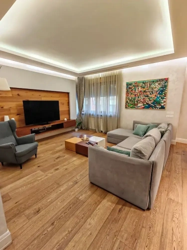Luxury Apartment