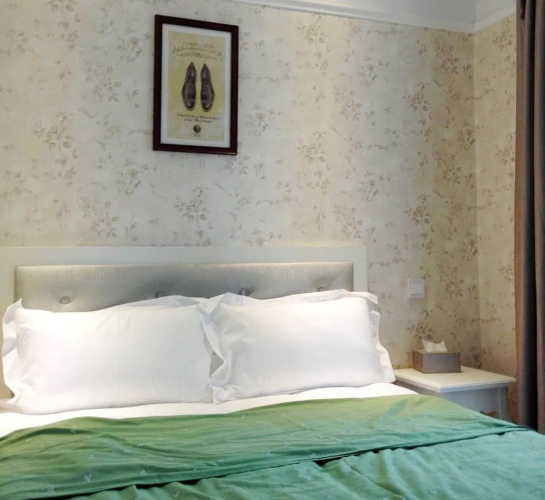 Chongqing Travelling Companion Express Hotel