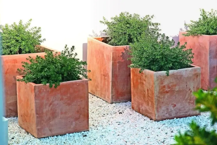Apartamentos Sivella