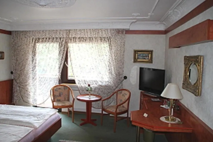 Standard Twin room with view