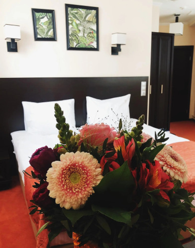 Фотография номера гостиницы Елоховский Сити