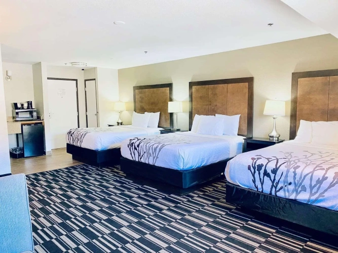 Standard Sextuple room