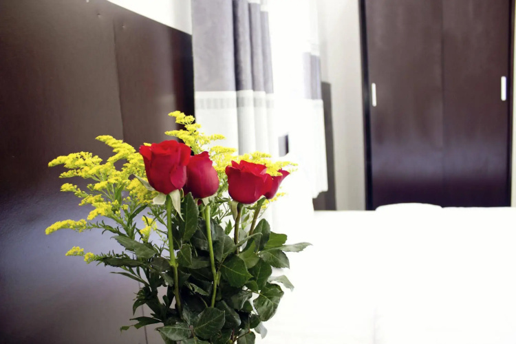 Thy Phuong Danang Hotel