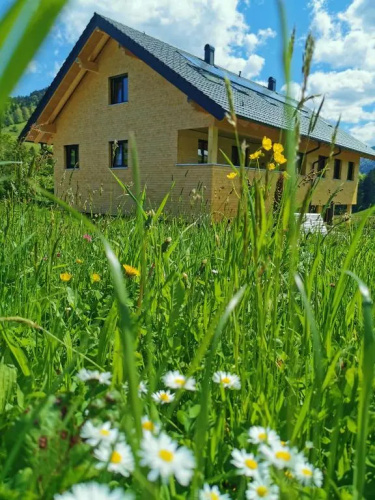 Living Apartment