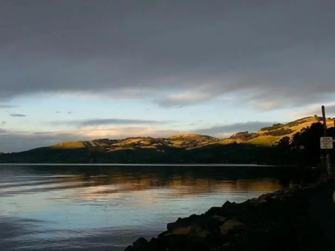 Otago Peninsula Paradise