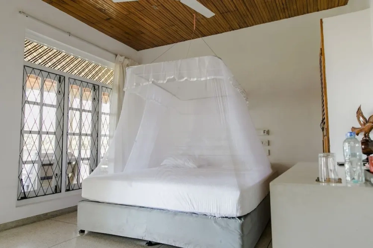 Deluxe Double room with balcony and with view