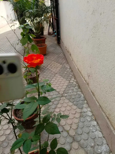 Shree Residency