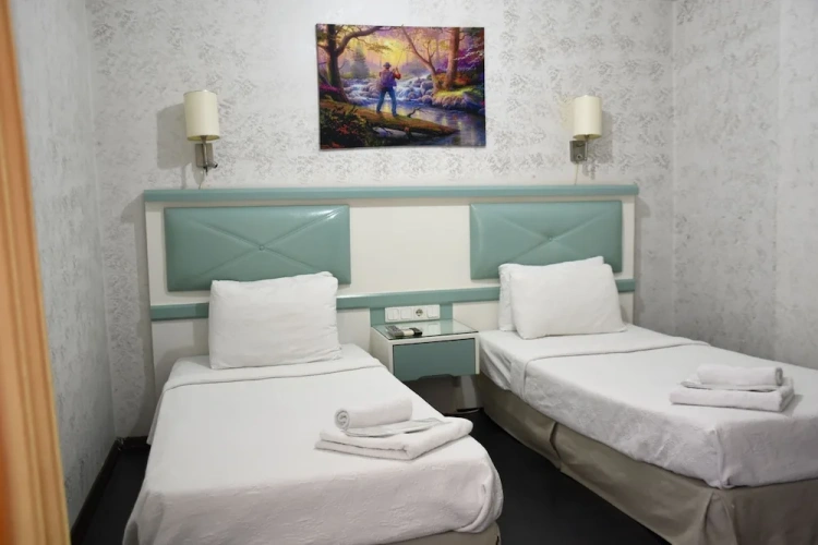 Classic Twin room