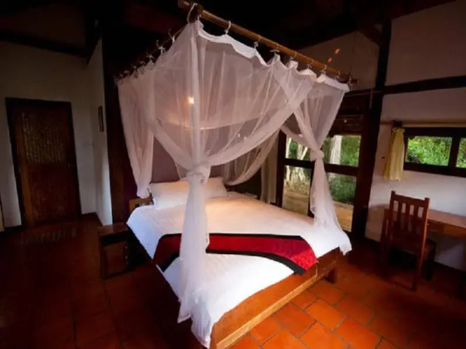 Forest Floor Lodge