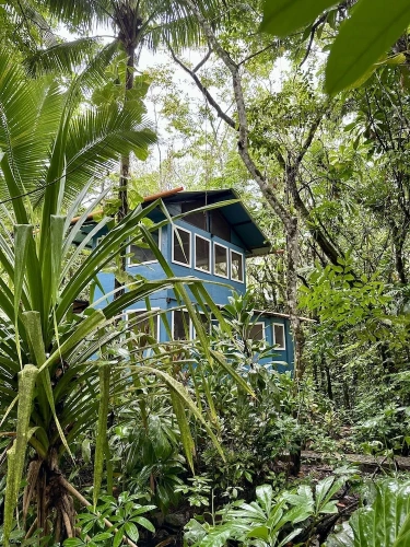 Standard room with balcony and with river view