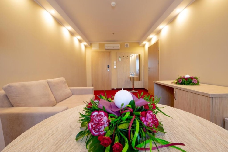 1 Bedroom Suite