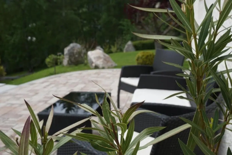 Standard Double room with garden view